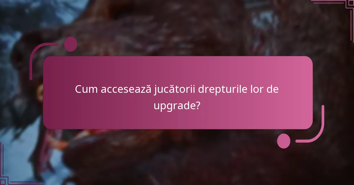 Care sunt capcanele potențiale ale drepturilor de upgrade?